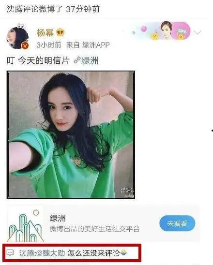 娱乐圈吃瓜官方网站,揭秘明星幕后故事，独家爆料等你来探！